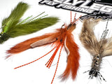 Crawdaddy Crayfish