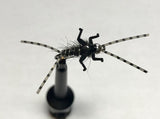 Double Trouble Nymph Barbless/ Tungsten