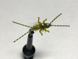 Double Trouble Nymph Barbless/ Tungsten