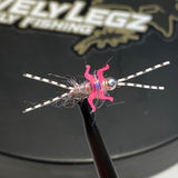 Double Trouble Nymph Barbless/ Tungsten